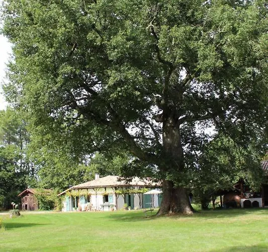 Le De Marquin Casa vacanze Luglon